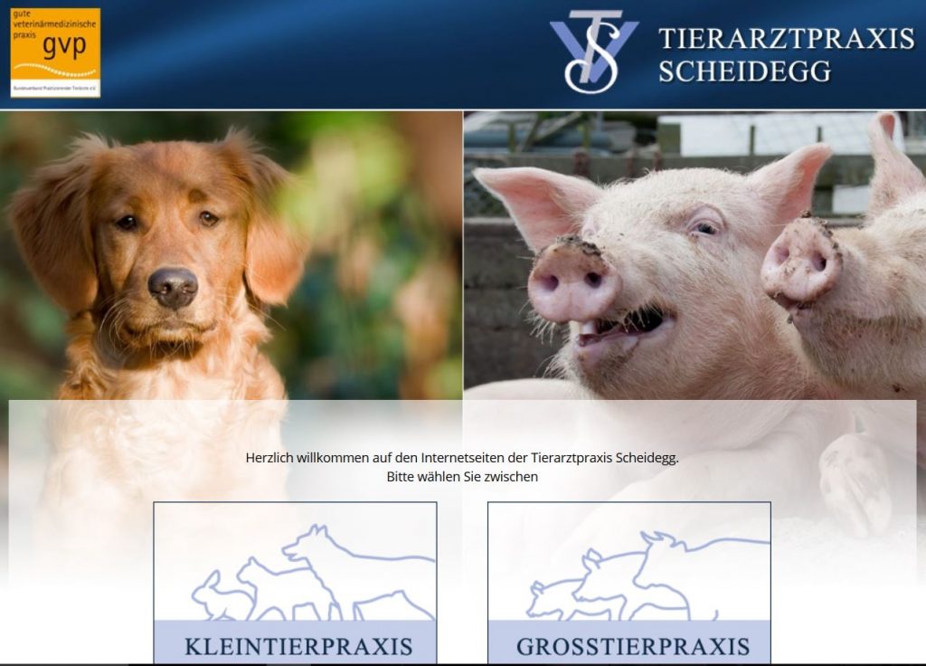 Website der Tierarztpraxis Scheidegg mit vielen spannenden Vorträgen