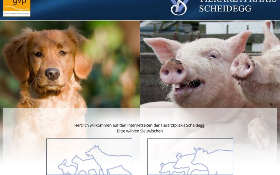 Tierarztpraxis Scheidegg: 8. Schwäbische Schweine-Fachtagung am Fr 24.11.